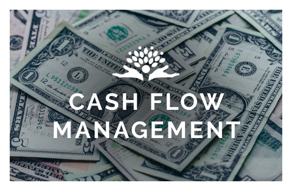cash flow management button
